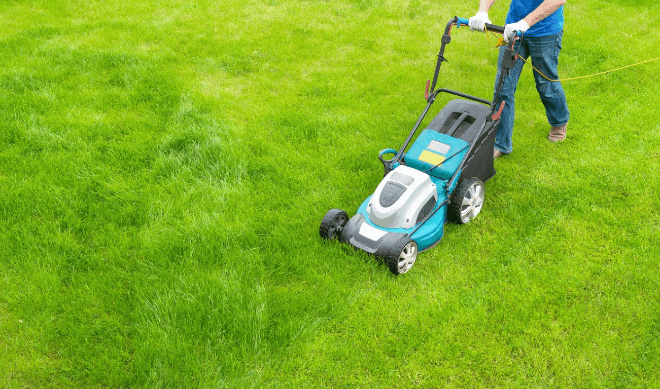 Lawn Care Services